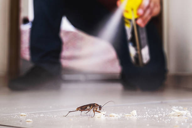 Reliable Elkhart, IN Pest Control Solutions