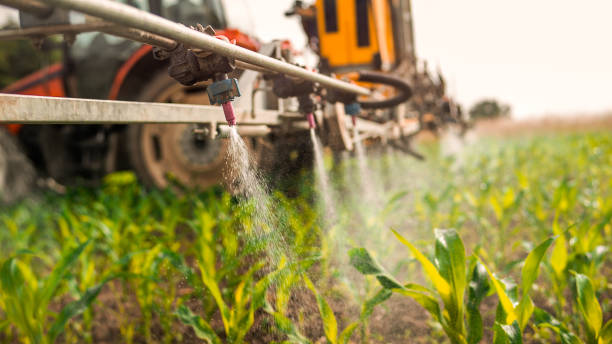 Best Wildlife Control Services  in Elkhart, IN