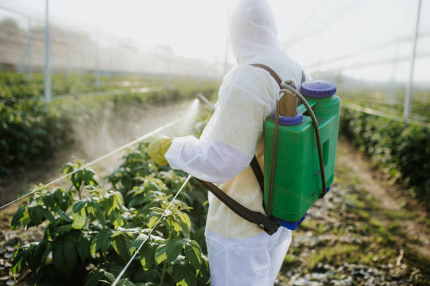 Best Flea Control Services  in Elkhart, IN